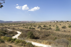 Israel border: Landscape of the 