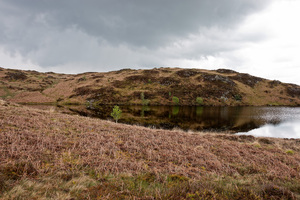 Moorland pool: A moorland tarn (pool) in Cumbria, England.