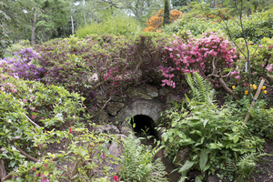 jardin boisé: 