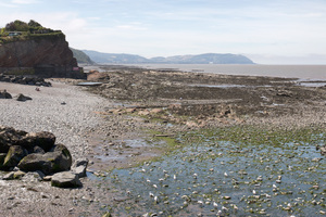 Coastline at low tide: Coastline at low tide at Watchet, Somerset, England.