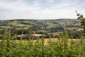 krajobraz Dorset: 