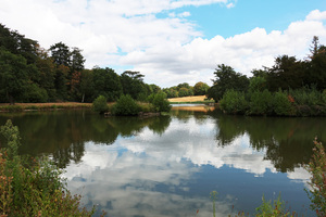 lago de verão: 