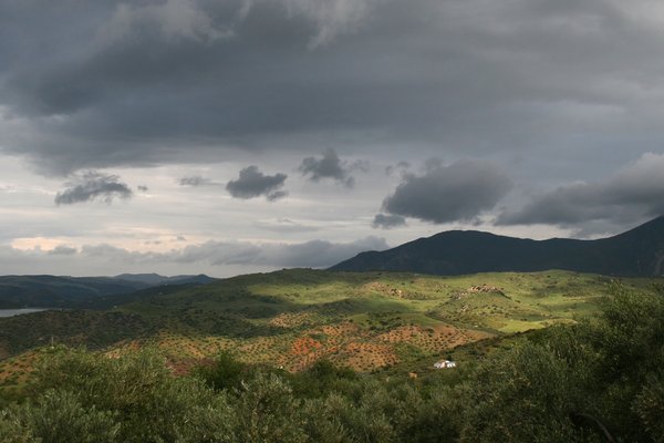 andalucia paisaje: 