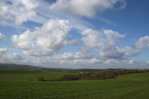 South Downs 6: 