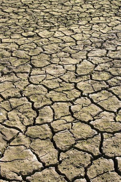 Parched ground: Sunbaked mud in a dried up reservoir
