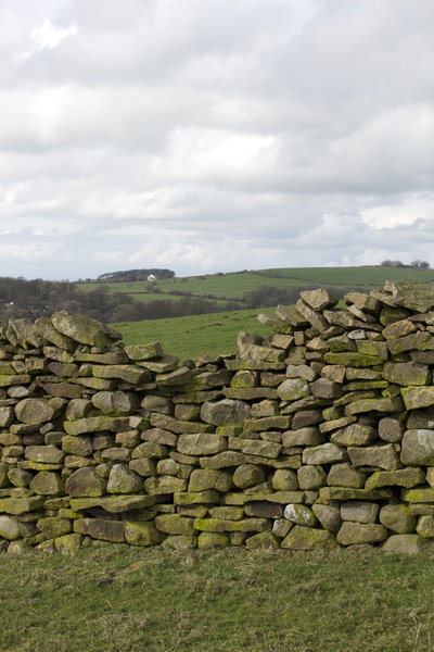 Old drystone wall: An old drystone wall in northern England.