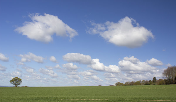 Spring clouds: Landscape of West Sussex, England, in spring.