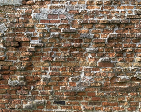 Old brick wall: Wall of an old coastal cottage in England.