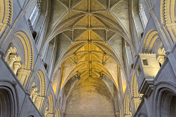 Abbey architecture: Elements of the architecture of Malmesbury abbey, Wiltshire, England. Photography of the inside and outside of this building is freely permitted.