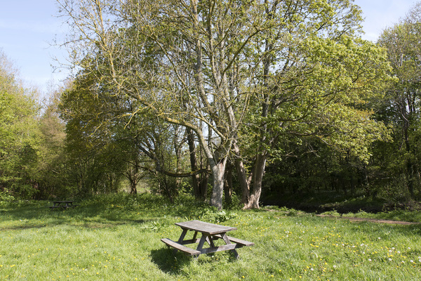 mesa de picnic en el campo: 