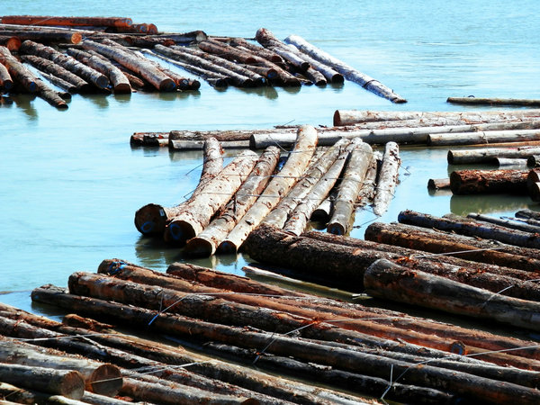 Log Boom Free Stock Photos Rgbstock Free Stock Images