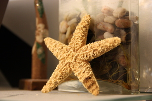 Star Fish: Start Fish Decoration