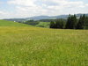 Mountain valley meadow: A meadow in the valley in Polish mountains. Huge hills and beautiful landscape near Wisla.Please comment this shot or mail me if you found it useful. Just to let me know!I would be extremely happy to see the final work even if you think it is nothing spec