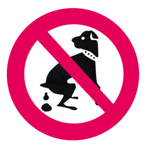 Prohibidos los perros: 