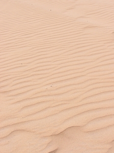 Sinai desert: A desert in Sinai, Egypt.