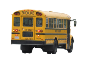 School bus: A yellow bus.