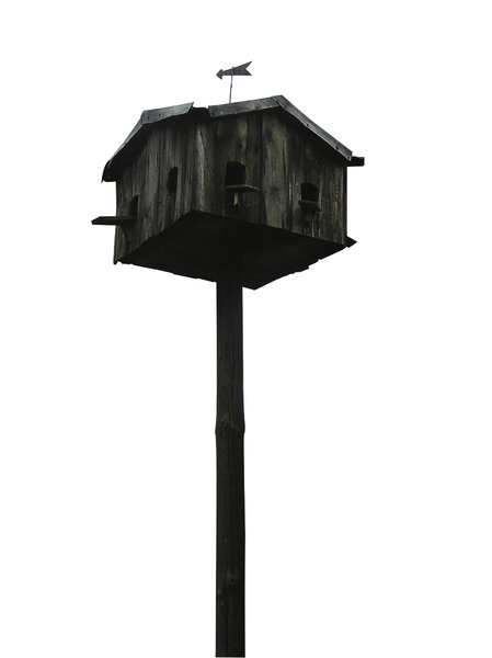 Birdhouse: 