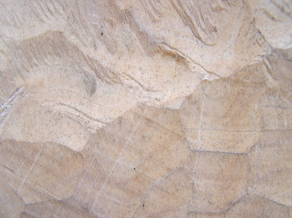 Wood texture: A wood cutout.

Please let me know if you decide to use it!