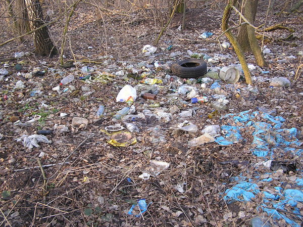 Wild litterplace: An illegal dump place.