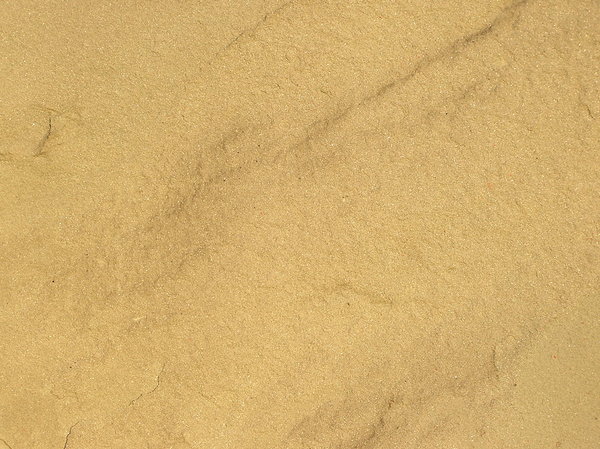 Sandy: Sand texture. Or a stone. Or a wall. Choose yourself.