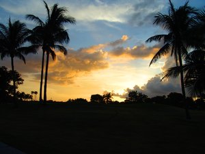 Sonnenuntergang in Florida: 