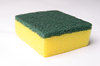 sponge: No description