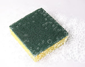 sponge: No description