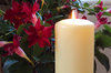 Christmas Candle: Christmas candle - white candle with red flowers
