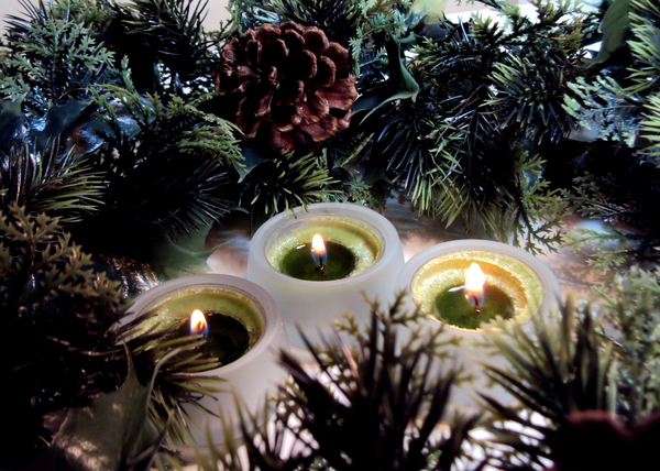 Christmas Candles: Candles surrounded with berries and holly