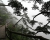 Misty day in the mountains - 2: The shot was taken in Huangshan mountains, China. We are inside the cloud and it's raining. The file prepared to be a desktop wallpaper, any comments and ratings are welcome.