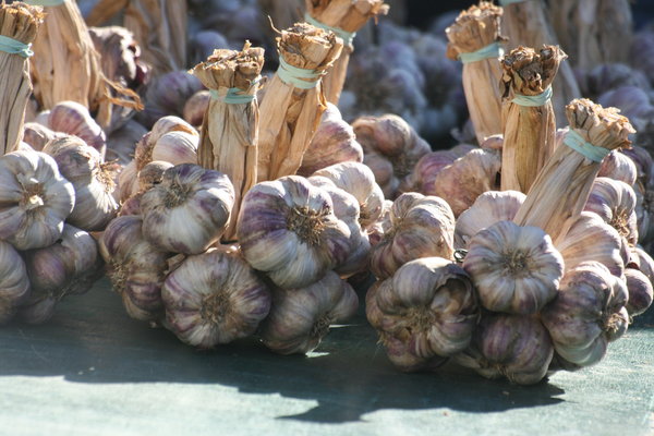 Garlic at the Market: fresh Garlic