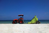 Cleaning the seashore: A scene of the Cancun coastline