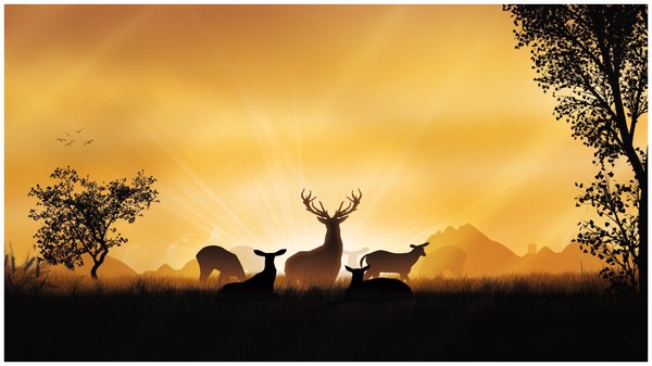 Early morning: Deers in the early hours of a day.