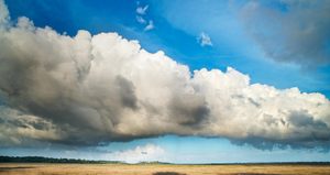 grote wolk over moerasland: 