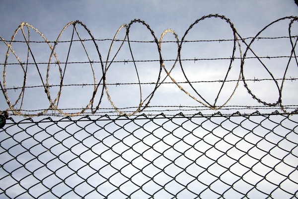 Security fence 5: 