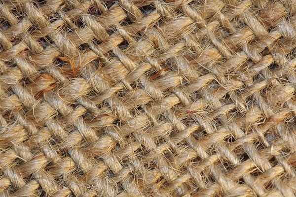 Textile fibers: Textile fibers