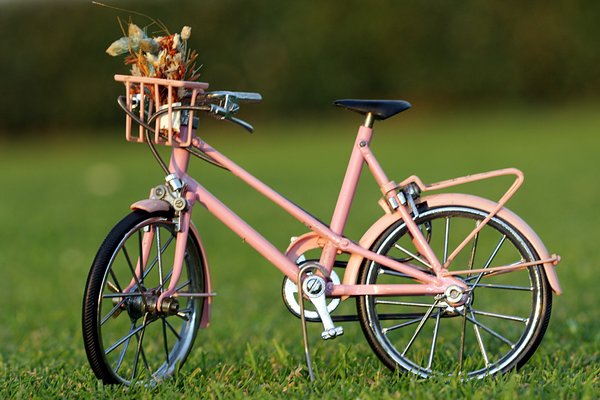 Bicicleta en la hierba 2: 