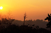 Jungle Sonnenaufgang: 