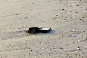 Without at the Beach: Someone lost all at the beach.