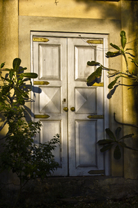Enlightened Door: The Door to Enlightenment?
