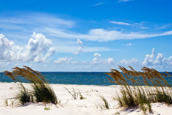 Deserted Beach: White sands, no people, blue skies......
Taken Crooked Isle East Beach, Fl