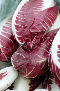 Radicchio Salat Kostenlose Stock Fotos Rgbstock Kostenlose Bilder Salsachica June 06 10 27