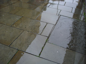 Wet Pavement 1: Images of reflections on wet pavement