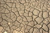 Dry Ground: Close-up of dry mud/earth