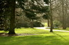Park Landscape: Scene of a park landscape, botanic garden