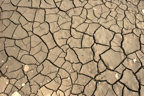 Dry Ground: Close-up of dry mud/earth