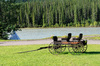 River Wagon: Historic wagon parked in front of  a river.