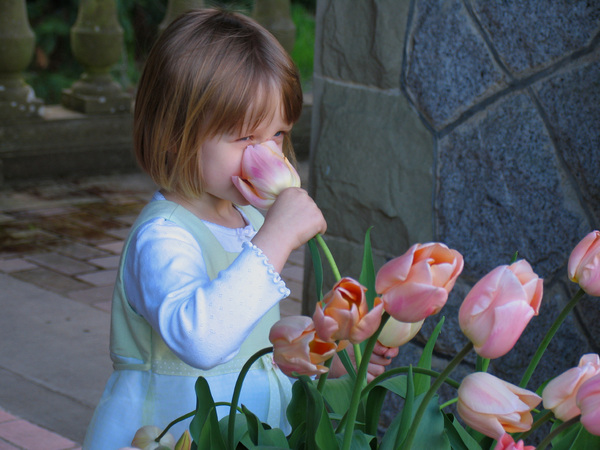Tulip Girl: Young girl stopping to smell the ros....er.....tulips.