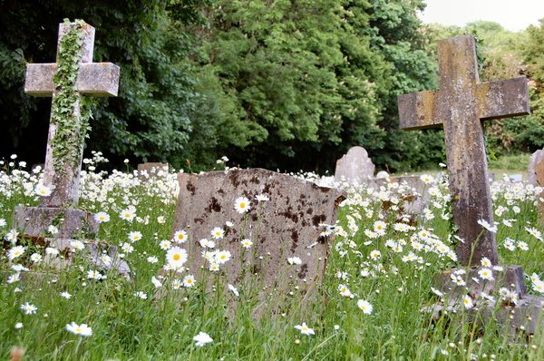 English graveyard: No description