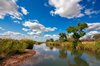 Kruger Park Landscape: Landscape scenery in Kruger National Park, South Africa.